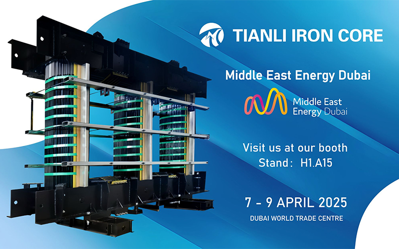 ในไถโจว Tianli Iron Core Manufacturing Co. , Ltd.